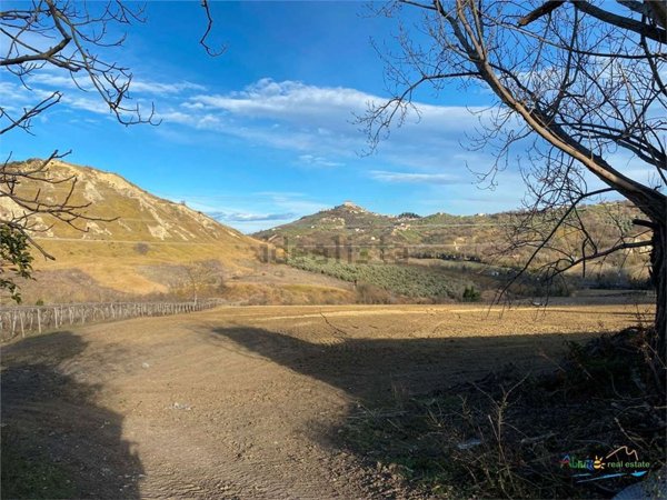 azienda agricola in vendita a Bucchianico