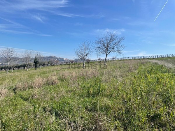 terreno agricolo in vendita a Bucchianico