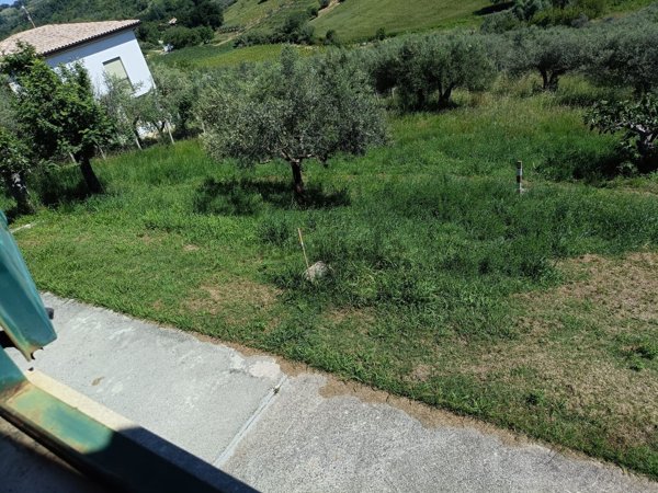 terreno agricolo in vendita a Bucchianico