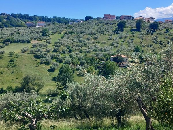 terreno agricolo in vendita a Bucchianico