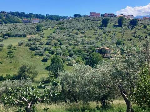 terreno agricolo in vendita a Bucchianico in zona Pozzo Nuovo
