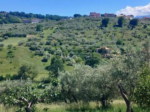 terreno agricolo in vendita a Bucchianico in zona Pozzo Nuovo
