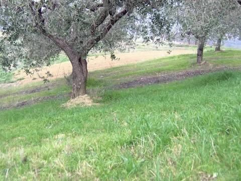 appartamento in vendita a Bucchianico in zona Feudo
