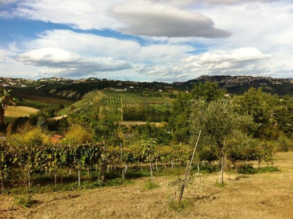 terreno agricolo in vendita a Bucchianico in zona Feudo