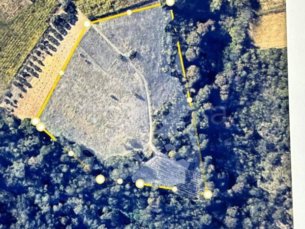 terreno agricolo in vendita a Canosa Sannita