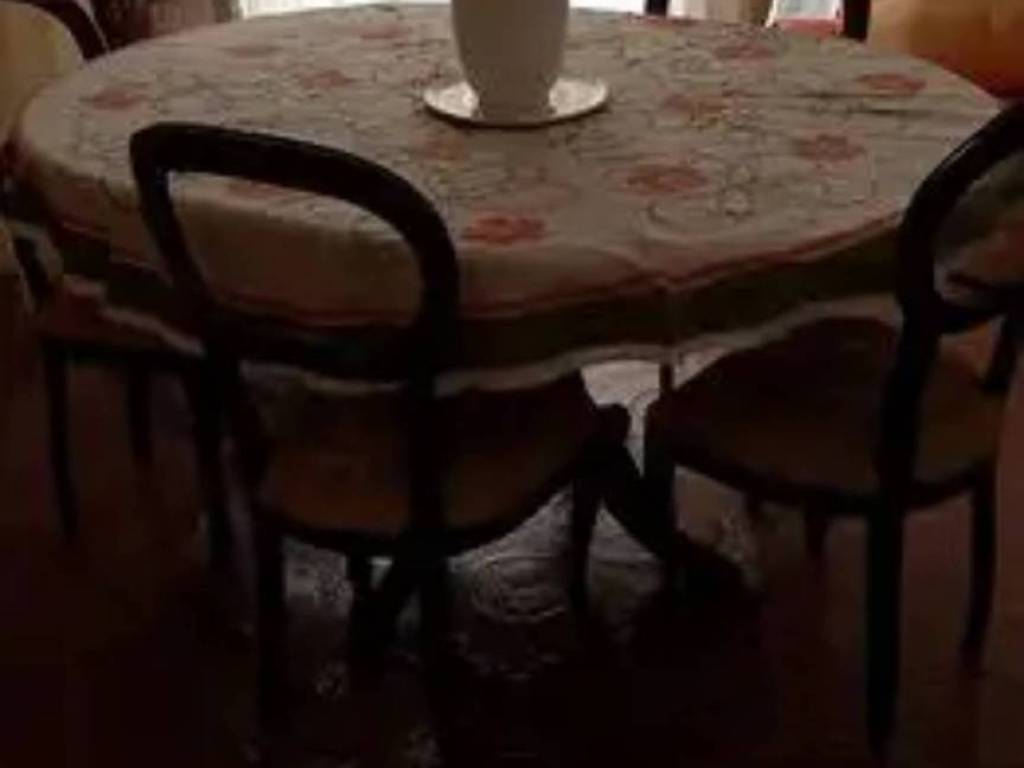 casa indipendente in vendita a Carpineto Sinello