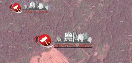 terreno agricolo in vendita a Carunchio