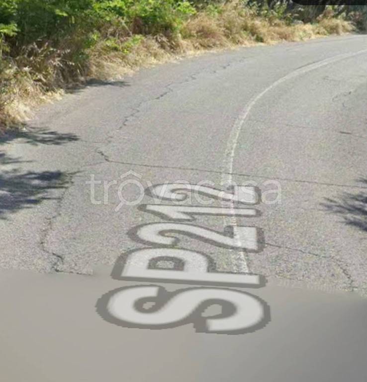 terreno agricolo in vendita a Carunchio