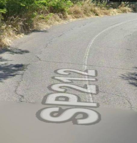 terreno agricolo in vendita a Carunchio