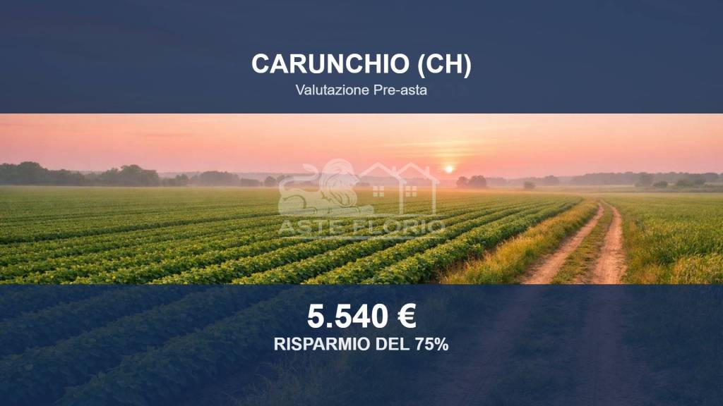 terreno agricolo in vendita a Carunchio