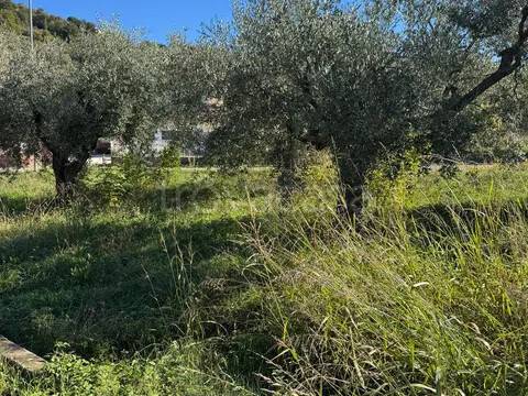 terreno agricolo in vendita a Casacanditella in zona Val di Foro