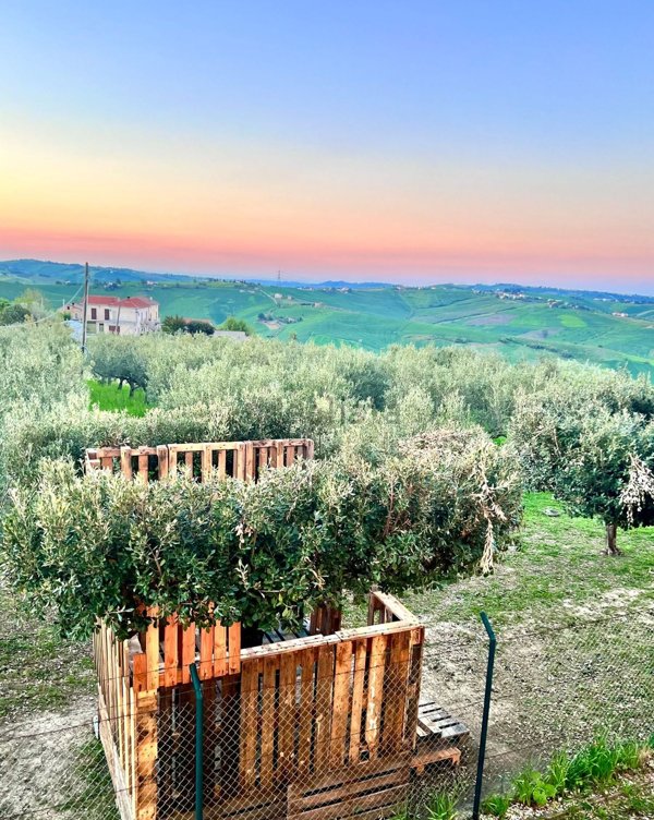 casa indipendente in vendita a Casalanguida