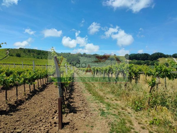 terreno agricolo in vendita a Casalbordino in zona Miracoli