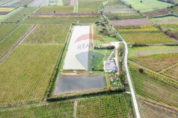 quadrivano in vendita a Casalbordino