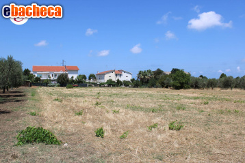 casa indipendente in vendita a Casalbordino