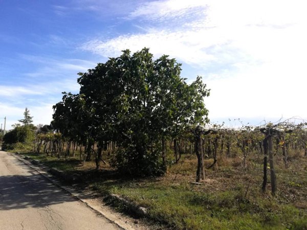terreno agricolo in vendita a Casalbordino in zona Miracoli