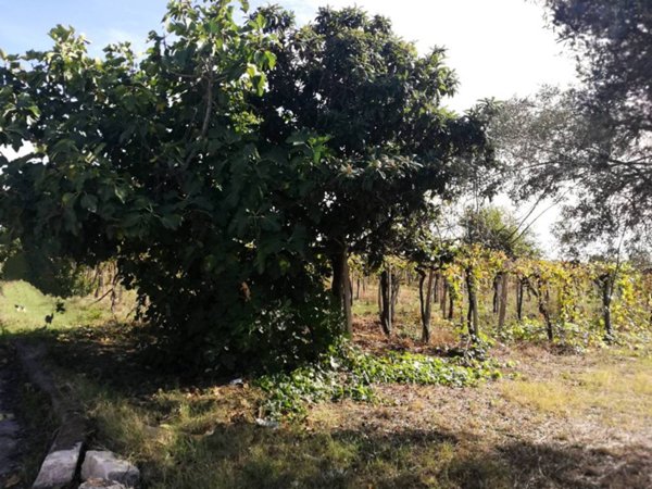 casa indipendente in vendita a Casalbordino in zona Miracoli