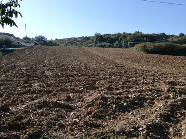 terreno agricolo in vendita a Casalbordino