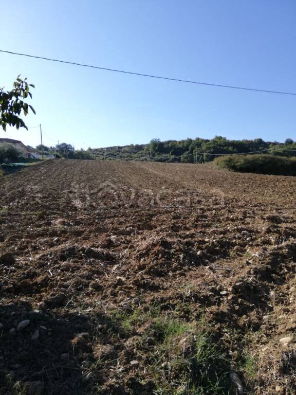 terreno agricolo in vendita a Casalbordino in zona Miracoli