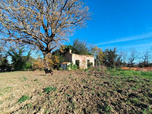 casa indipendente in vendita a Casalbordino