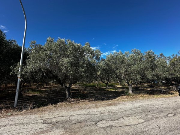 casa indipendente in vendita a Casalbordino