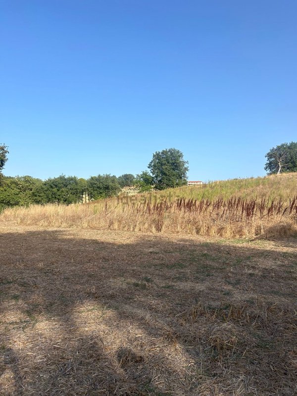 terreno agricolo in vendita a Casalbordino in zona Verdugia