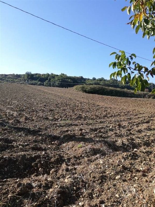 terreno agricolo in vendita a Casalbordino