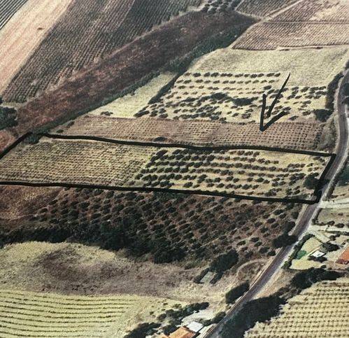 terreno agricolo in vendita a Casalbordino