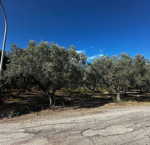 casa indipendente in vendita a Casalbordino in zona Miracoli