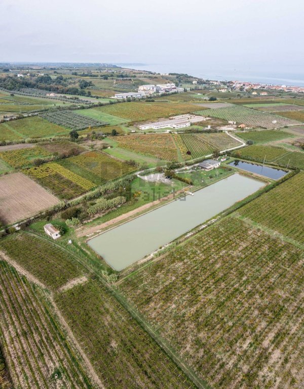 negozio in vendita a Casalbordino