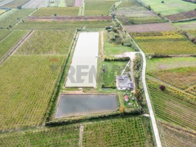 negozio in vendita a Casalbordino