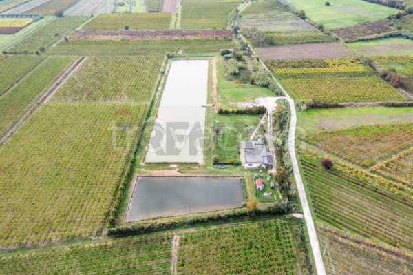 negozio in vendita a Casalbordino