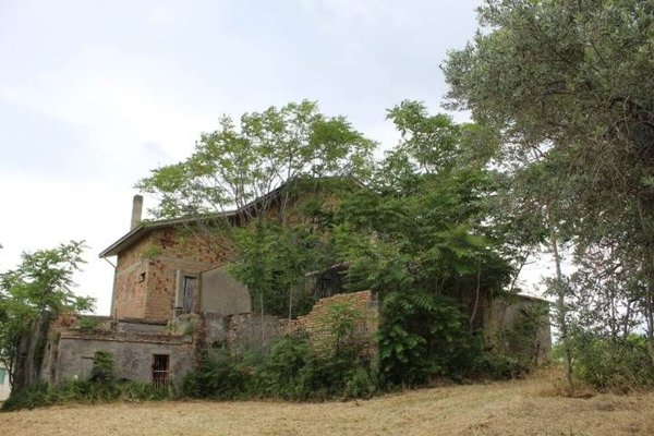 esavano in vendita a Casalbordino