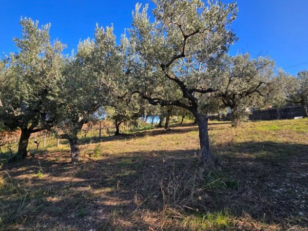 terreno agricolo in vendita a Casalbordino in zona Miracoli
