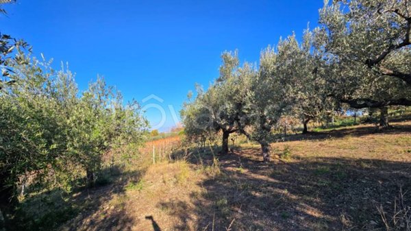 terreno in vendita a Casalbordino in zona Miracoli