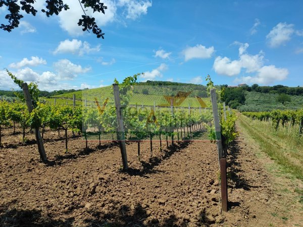 terreno in vendita a Casalbordino