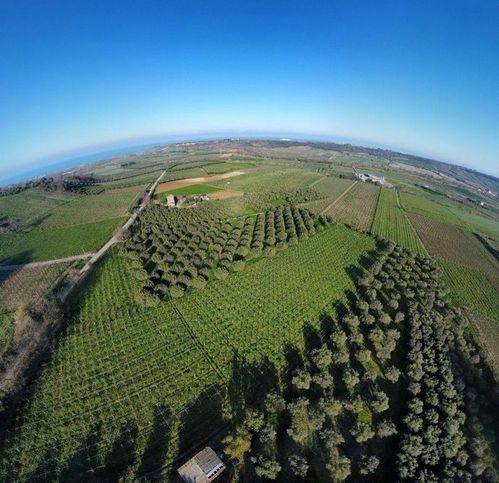 terreno agricolo in vendita a Casalbordino