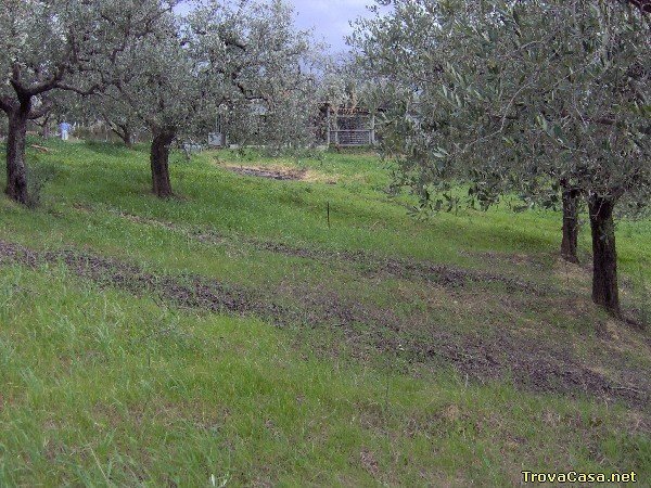 appartamento in vendita a Casalincontrada