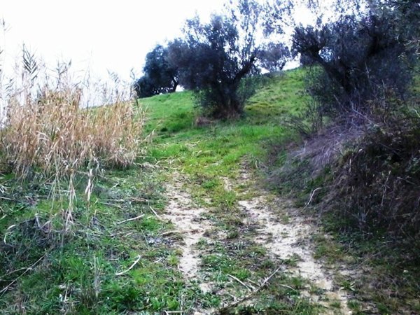 terreno agricolo in vendita a Casalincontrada