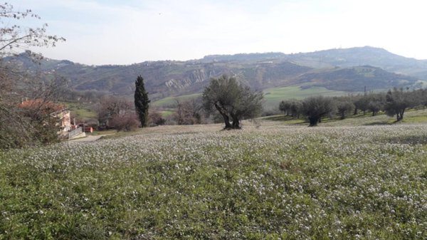 terreno edificabile in vendita a Casalincontrada