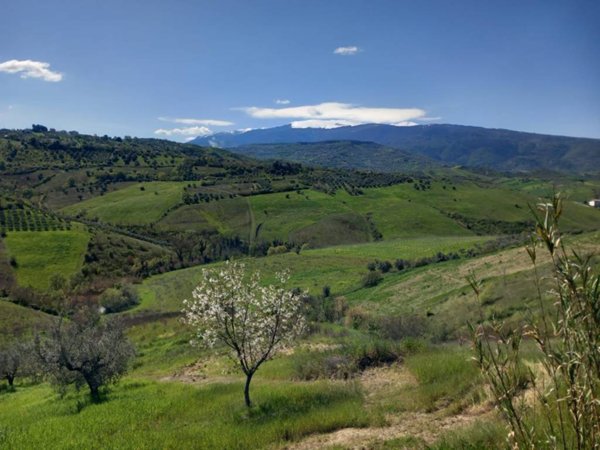 terreno agricolo in vendita a Casalincontrada