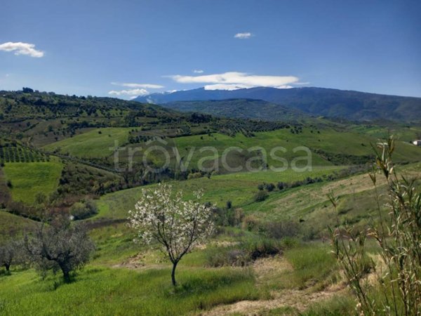 terreno agricolo in vendita a Casalincontrada