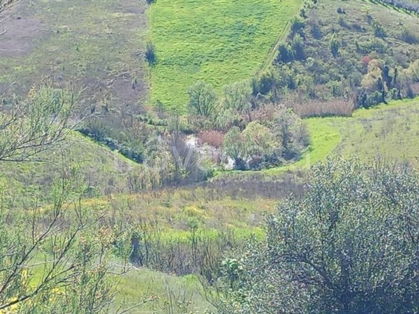 terreno agricolo in vendita a Casalincontrada