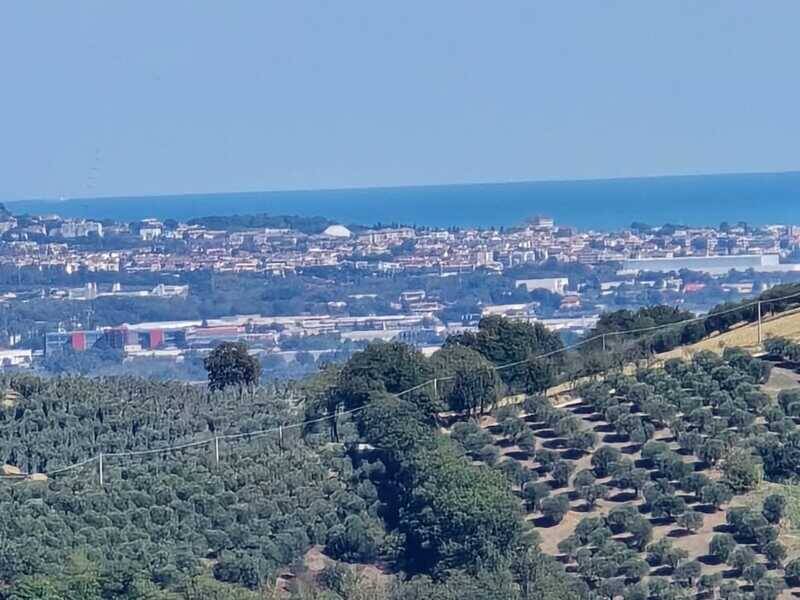 terreno agricolo in vendita a Casalincontrada