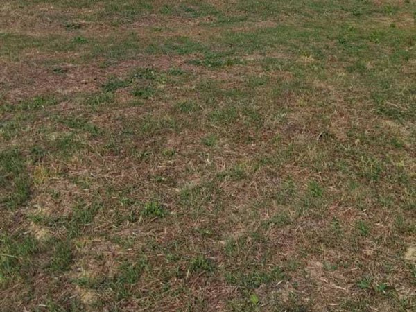 terreno agricolo in vendita a Casalincontrada