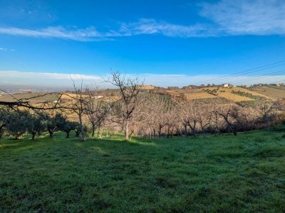 terreno agricolo in vendita a Casalincontrada in zona Brecciarola