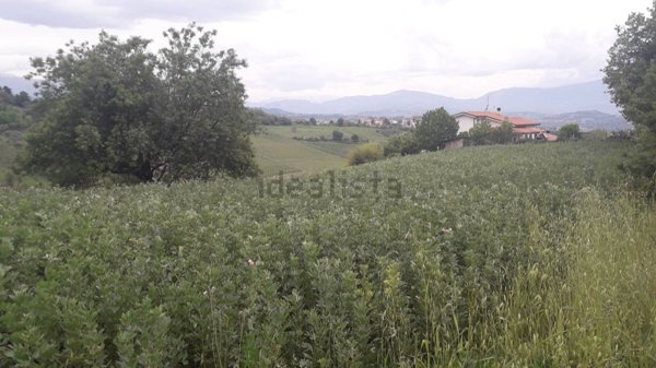 terreno agricolo in vendita a Casalincontrada