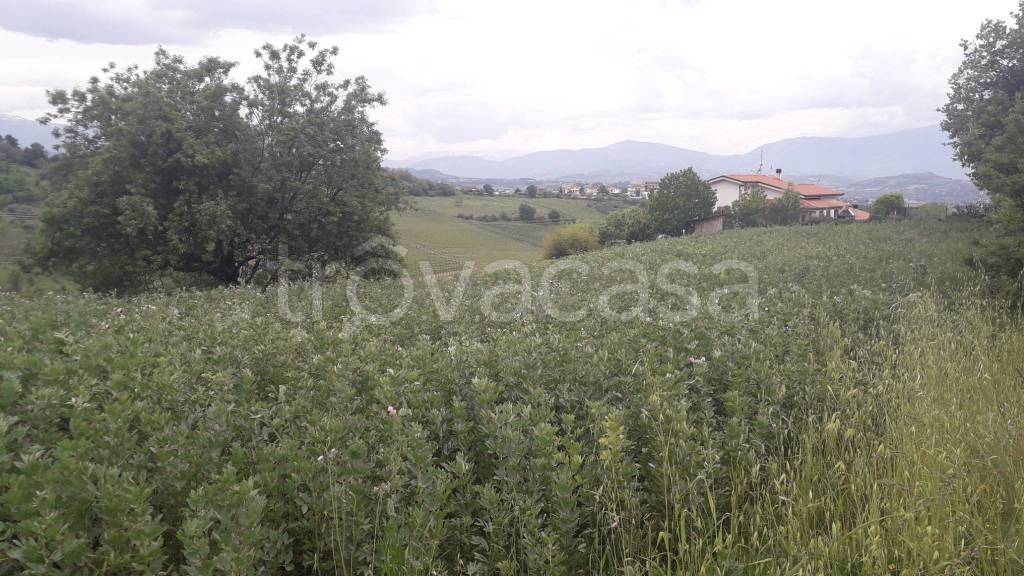 terreno agricolo in vendita a Casalincontrada