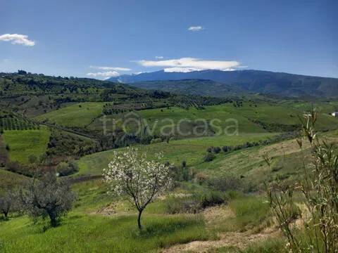 terreno agricolo in vendita a Casalincontrada in zona Coppelli