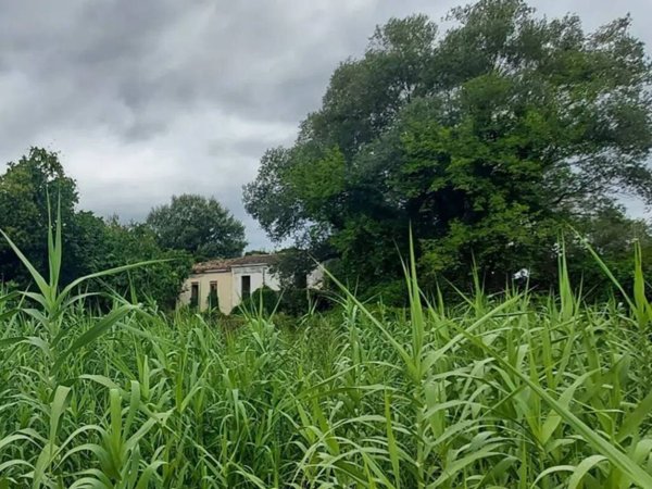 casa indipendente in vendita a Casoli